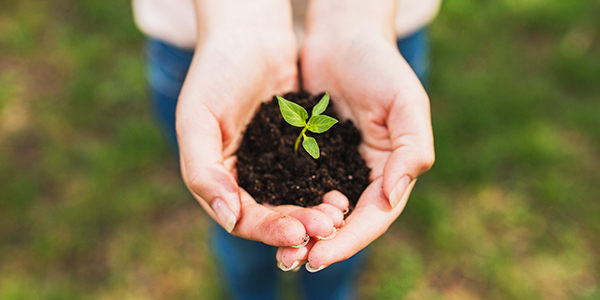 Co2 neutraler Versand